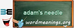 WordMeaning blackboard for adam's needle
